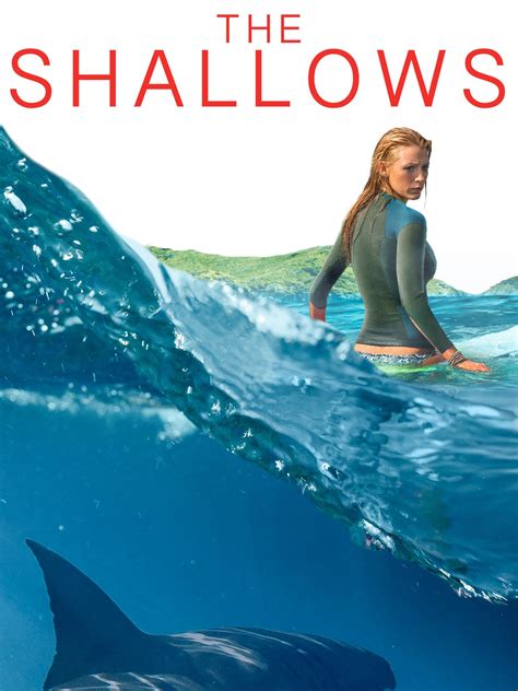 tinyzone the shallows